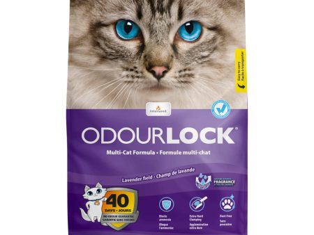 Intersand Odourlock Lavender Field Cat Litter - 12 Kg Online Sale