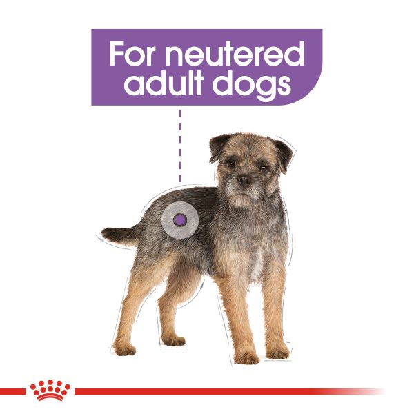 Royal Canin - Mini - Sterilised Care on Sale