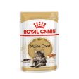 Royal Canin Maine Coon Adult Wet Cat Food (85g x 12 Gravy Pouches) For Sale