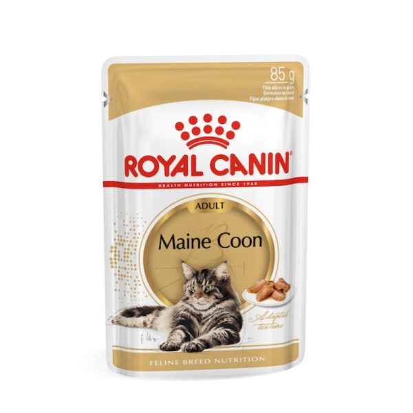 Royal Canin Maine Coon Adult Wet Cat Food (85g x 12 Gravy Pouches) For Sale