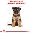 Royal Canin German Shepherd Puppy Junior Fashion