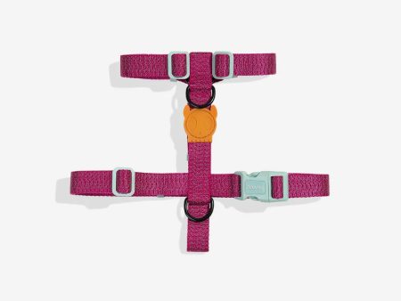 Zee Dog Nox Sidus H - Harness Supply