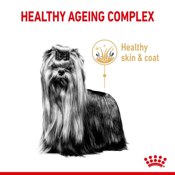 Royal Canin Yorkshire Terrier Adult +8 1.5kg Cheap