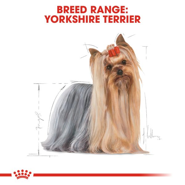 Royal Canin Yorkshire Terrier Adult Cheap