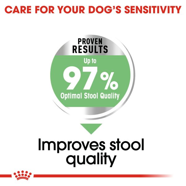 Royal Canin - Maxi - Digestive Care Sale