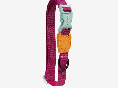 Zee Dog Nox Sidus Collar Hot on Sale