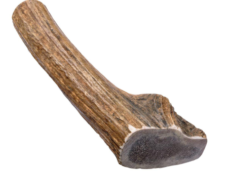 Antler Chew - Hard For Sale