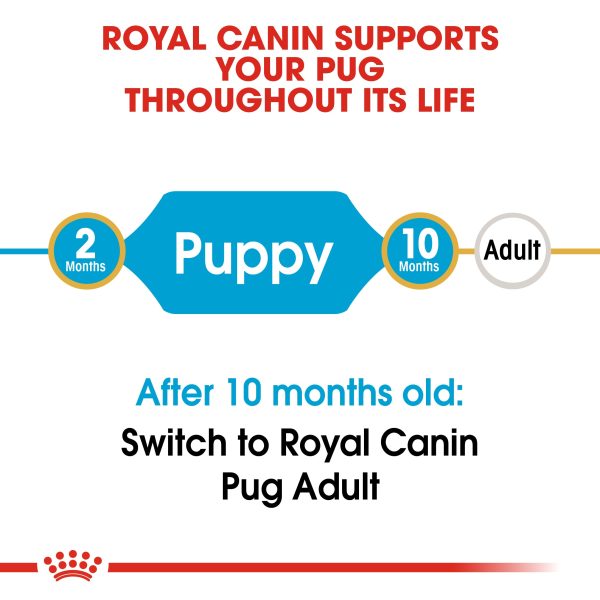 Royal Canin Pug Puppy Junior Supply