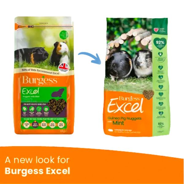 Burgess Excel Nuggets - Guinea Pig Online Hot Sale