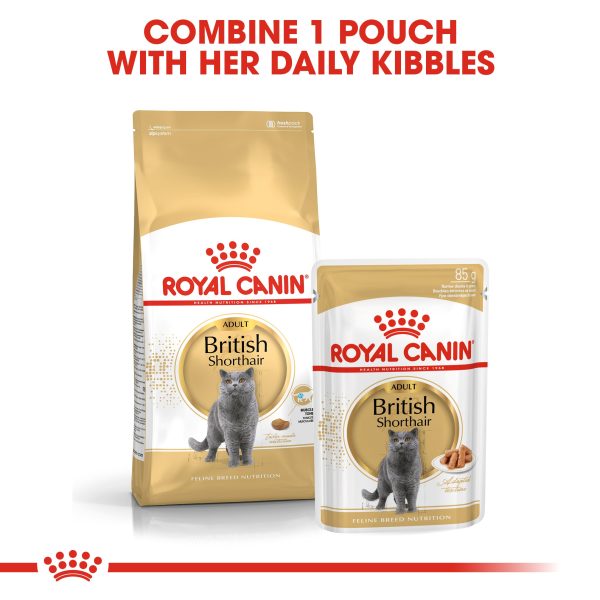 Royal Canin Cat Pouch - British Shorthair Fashion