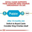 Royal Canin Cavalier King Charles Puppy 1.5kg Supply