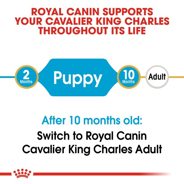 Royal Canin Cavalier King Charles Puppy 1.5kg Supply