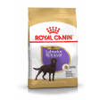 Royal Canin Labrador Retriever Sterilised 12kg Fashion