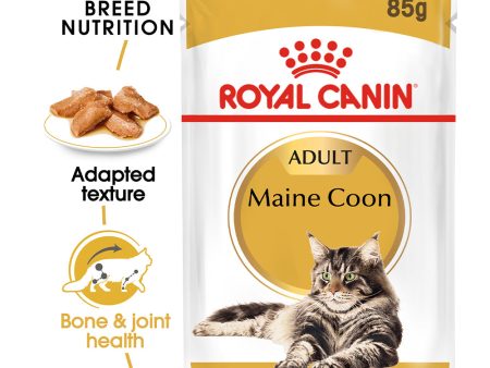 Royal Canin Cat Pouch - Maine Coon For Discount