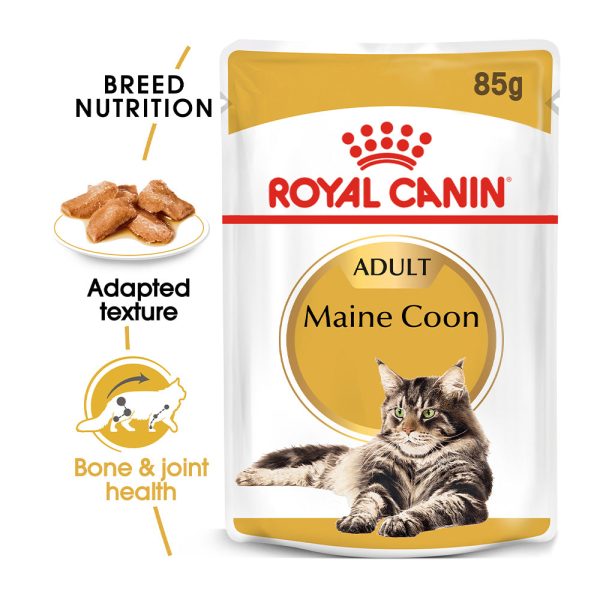 Royal Canin Cat Pouch - Maine Coon For Discount