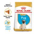 Royal Canin Pug Puppy Junior Supply