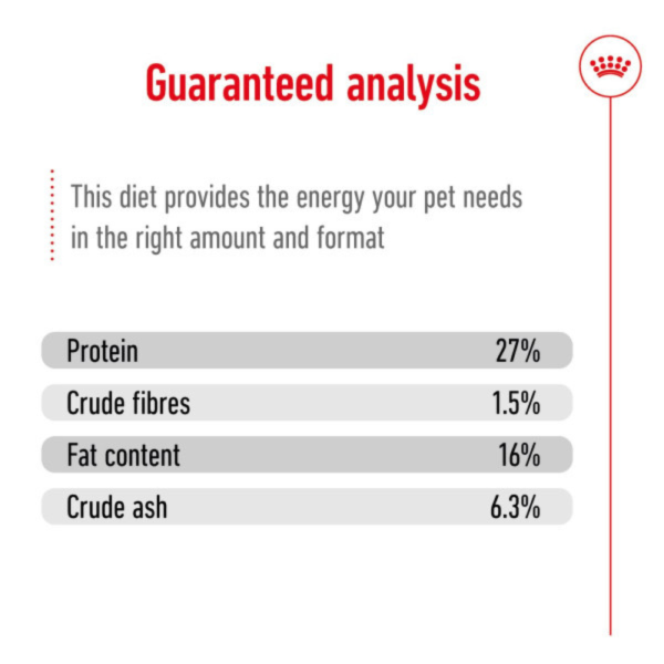 Royal Canin Mini Adult 8+ Online