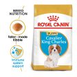 Royal Canin Cavalier King Charles Puppy 1.5kg Supply