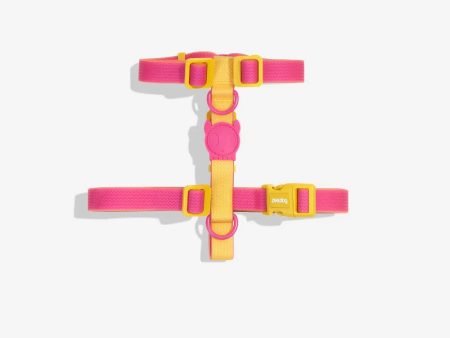 Zee Dog Neopro Lyra Dog H Harness Sale