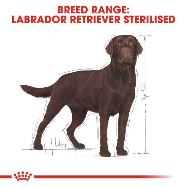 Royal Canin Labrador Retriever Sterilised 12kg Fashion