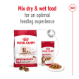 Royal Canin Medium Ageing 10+ Online Sale