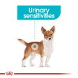 Royal Canin Mini Urinary Care Online now