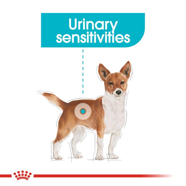 Royal Canin Mini Urinary Care Online now