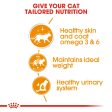 Royal Canin Cat Pouch - Hair & Skin Online Hot Sale