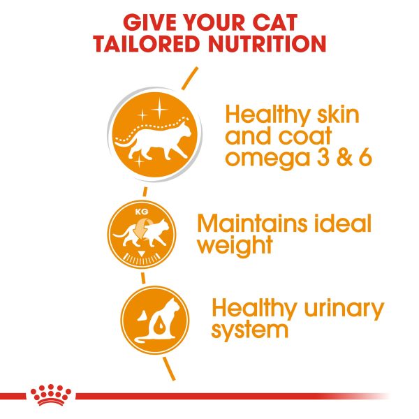 Royal Canin Cat Pouch - Hair & Skin Online Hot Sale