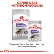 Royal Canin - Mini - Sterilised Care on Sale