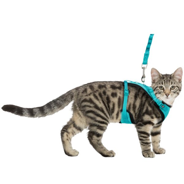 Cat - Mesh Y Harness with Lead Discount