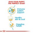 Royal Canin Cocker Spaniel Puppy Supply