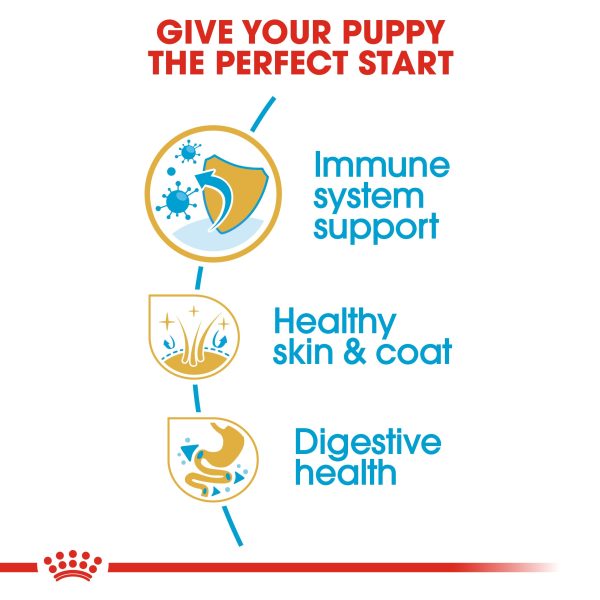 Royal Canin Cocker Spaniel Puppy Supply