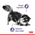 Royal Canin Appetite Control Care Cat Food For Cheap