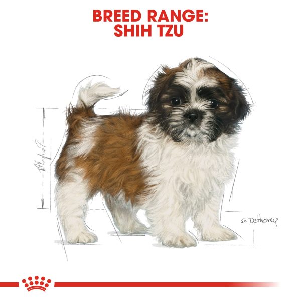 Royal Canin Shih Tzu Puppy Junior 1.5kg For Cheap