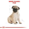 Royal Canin Pug Puppy Junior Supply