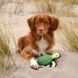 BeCo Dog Toy - Rough & Tough - Tommy the Turtle on Sale