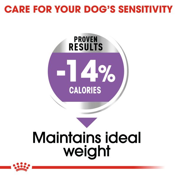 Royal Canin - Mini - Sterilised Care on Sale