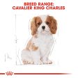 Royal Canin Cavalier King Charles Puppy 1.5kg Supply