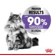 Royal Canin Appetite Control Care Cat Food For Cheap