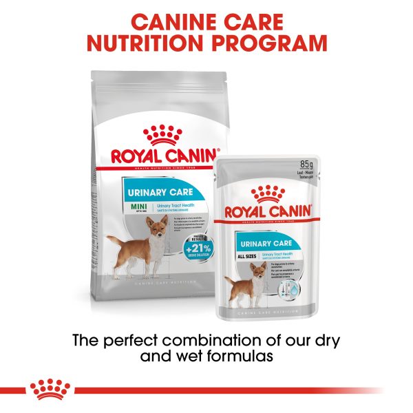 Royal Canin Mini Urinary Care Online now