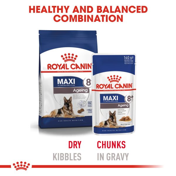 Royal Canin Maxi Ageing 8+ Hot on Sale