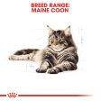 Royal Canin Cat Pouch - Maine Coon For Discount