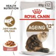 Royal Canin Senior Ageing 12+ Thin Slices in Gravy Wet Cat Food (85g x 12 Gravy Pouches) on Sale