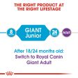 Royal Canin - Giant - Junior Cheap