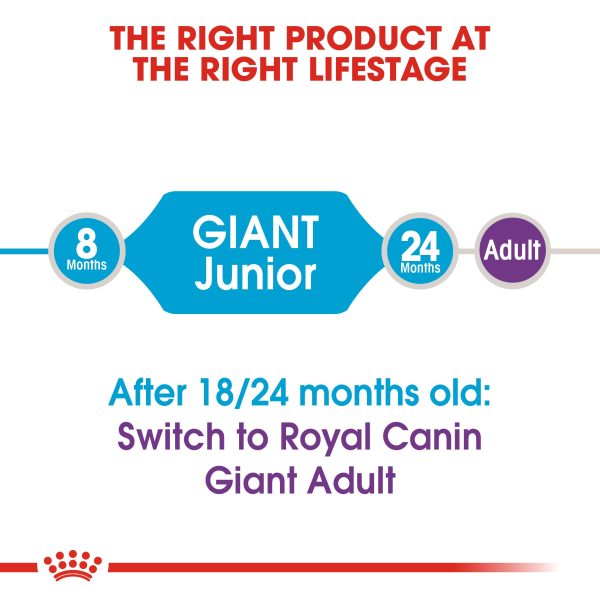 Royal Canin - Giant - Junior Cheap