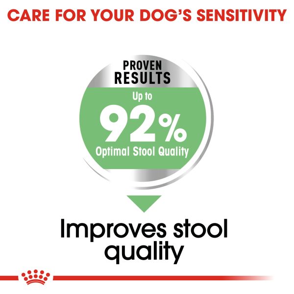 Royal Canin Mini Digestive Care Online now