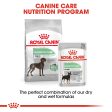 Royal Canin - Maxi - Digestive Care Sale