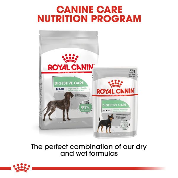 Royal Canin - Maxi - Digestive Care Sale