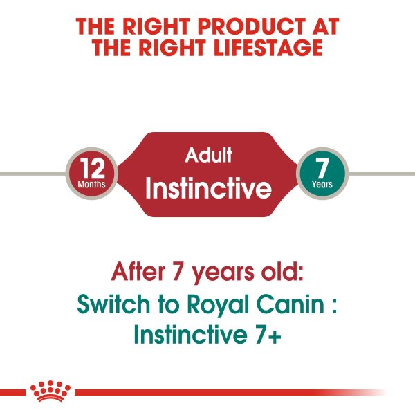 Royal Canin Cat Pouch - Instinctive in Jelly Hot on Sale